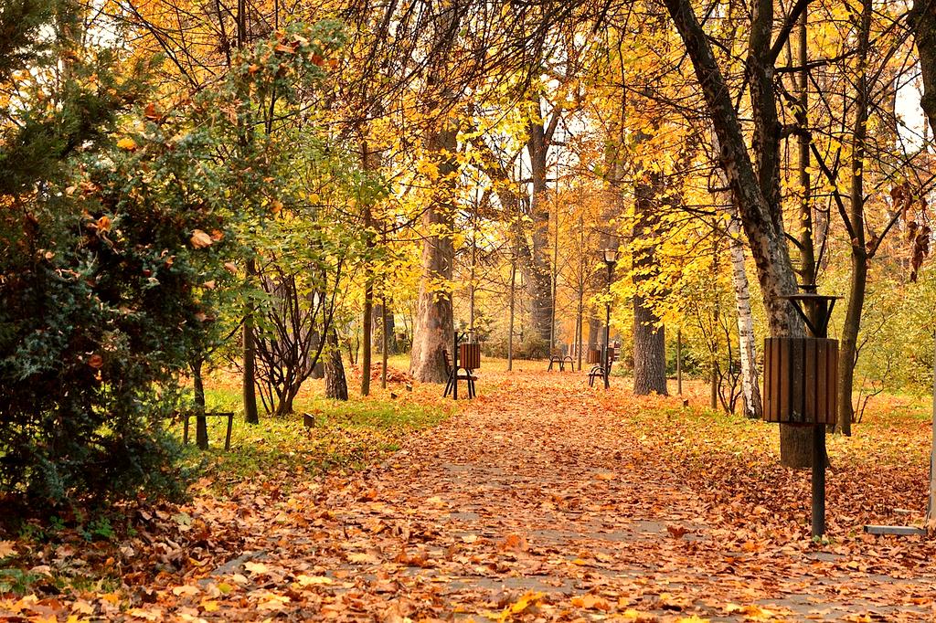 Community support and collaboration