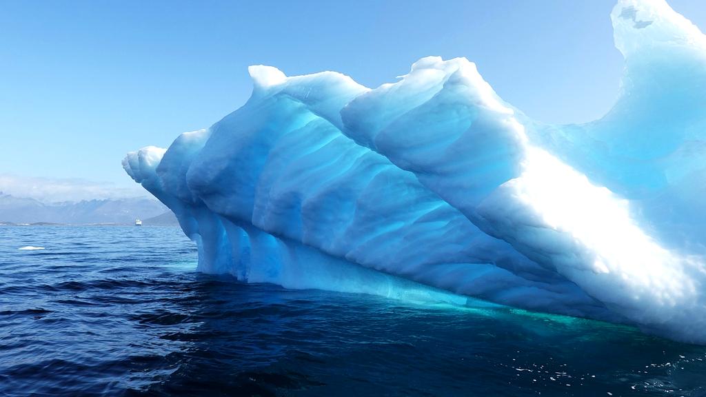 Course progression timeline