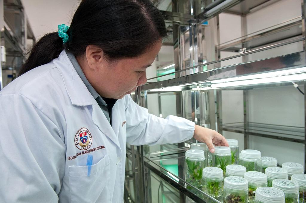 Earth's atmosphere visualization