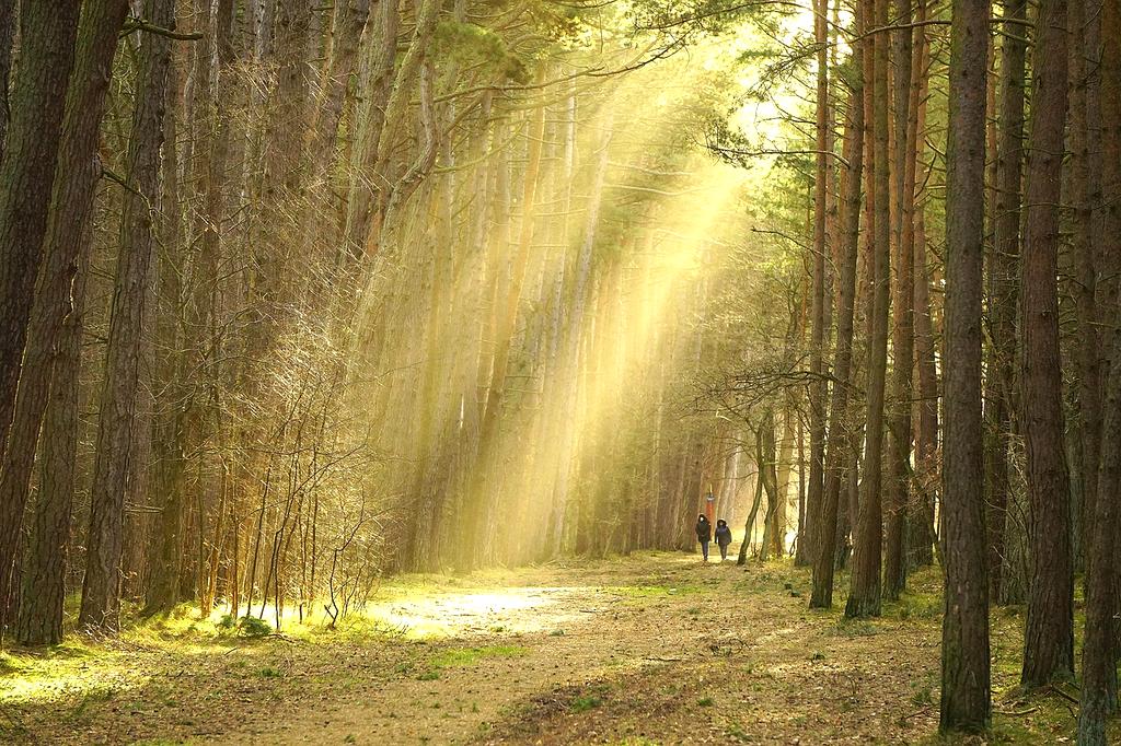 Linda Chang, Environmental Policy Expert
