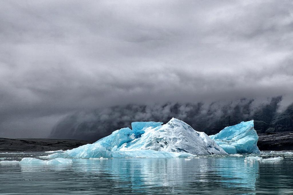 Michael Lee - Sustainability Expert