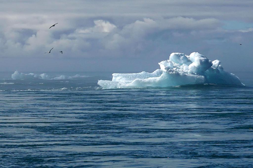 Panel of experts discussing climate