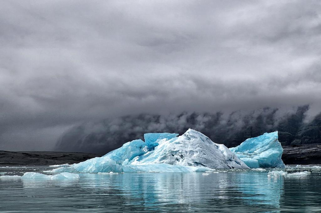 Group attending expert webinar