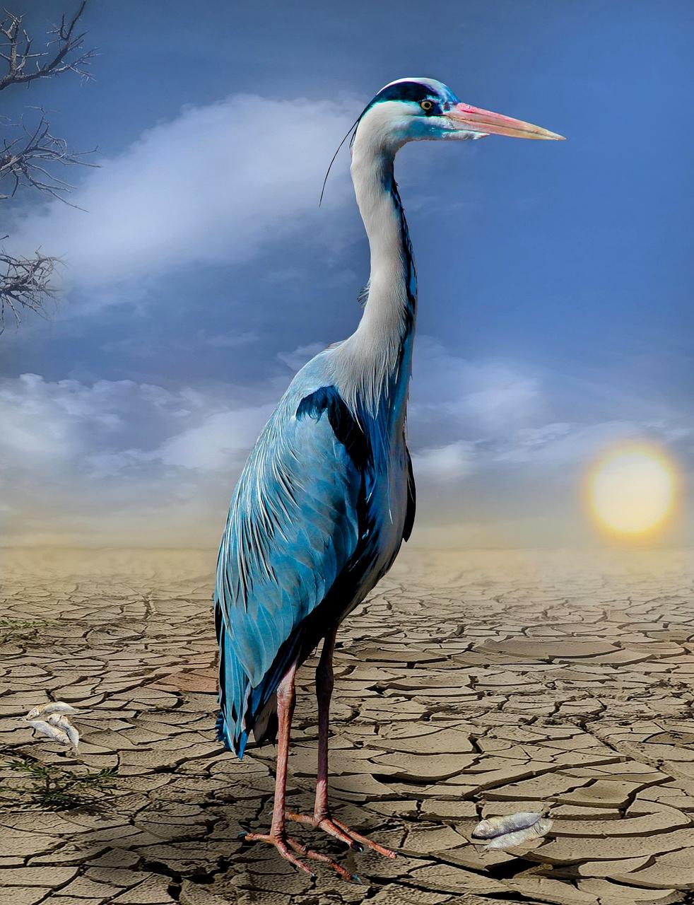 Introduction to climate science