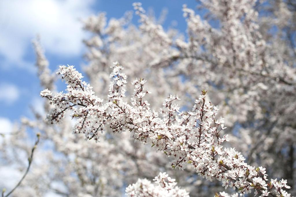 Sustainable resources concept