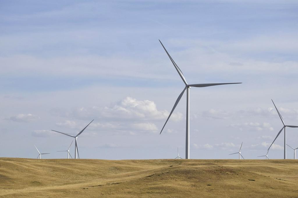 Sustainability Solutions illustration