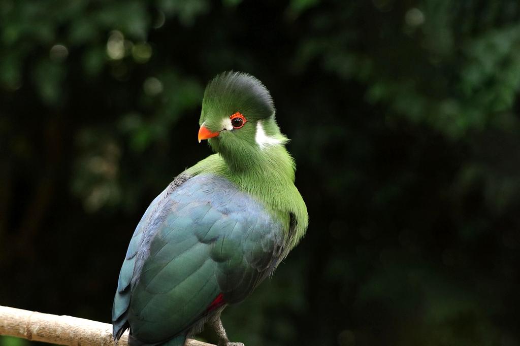 Understanding environmental impact