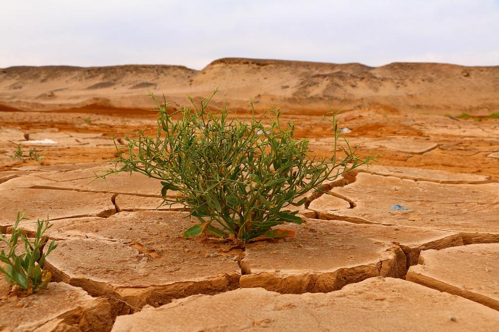 Educational videos icon